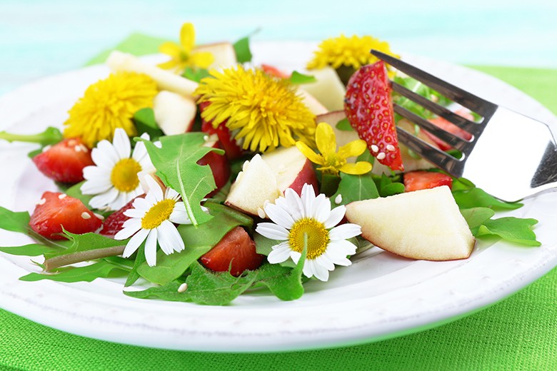 Essbare Blüten - es wird richtig bunt auf dem Teller