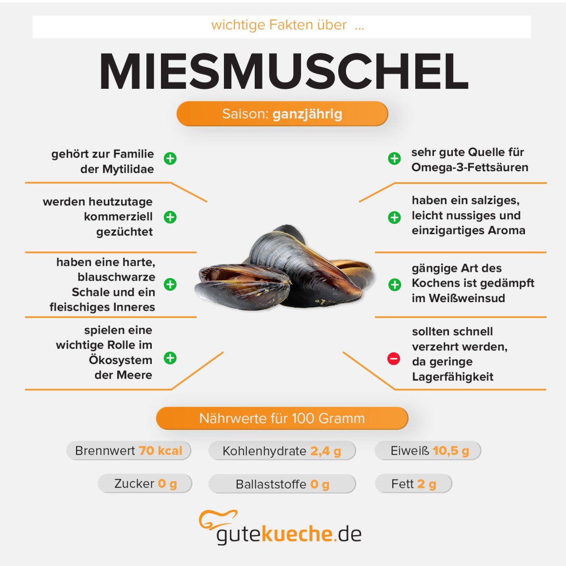 Miesmuscheln