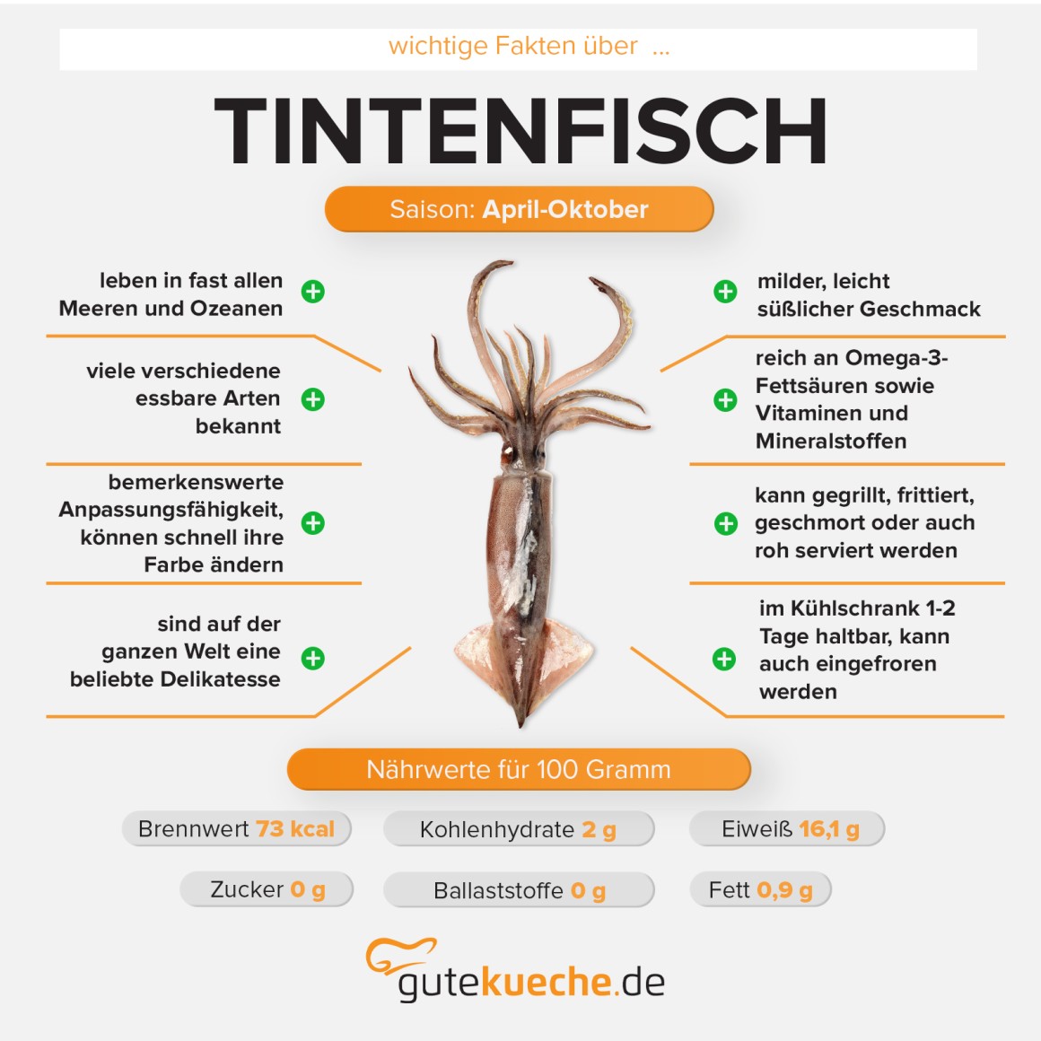 Tintenfisch