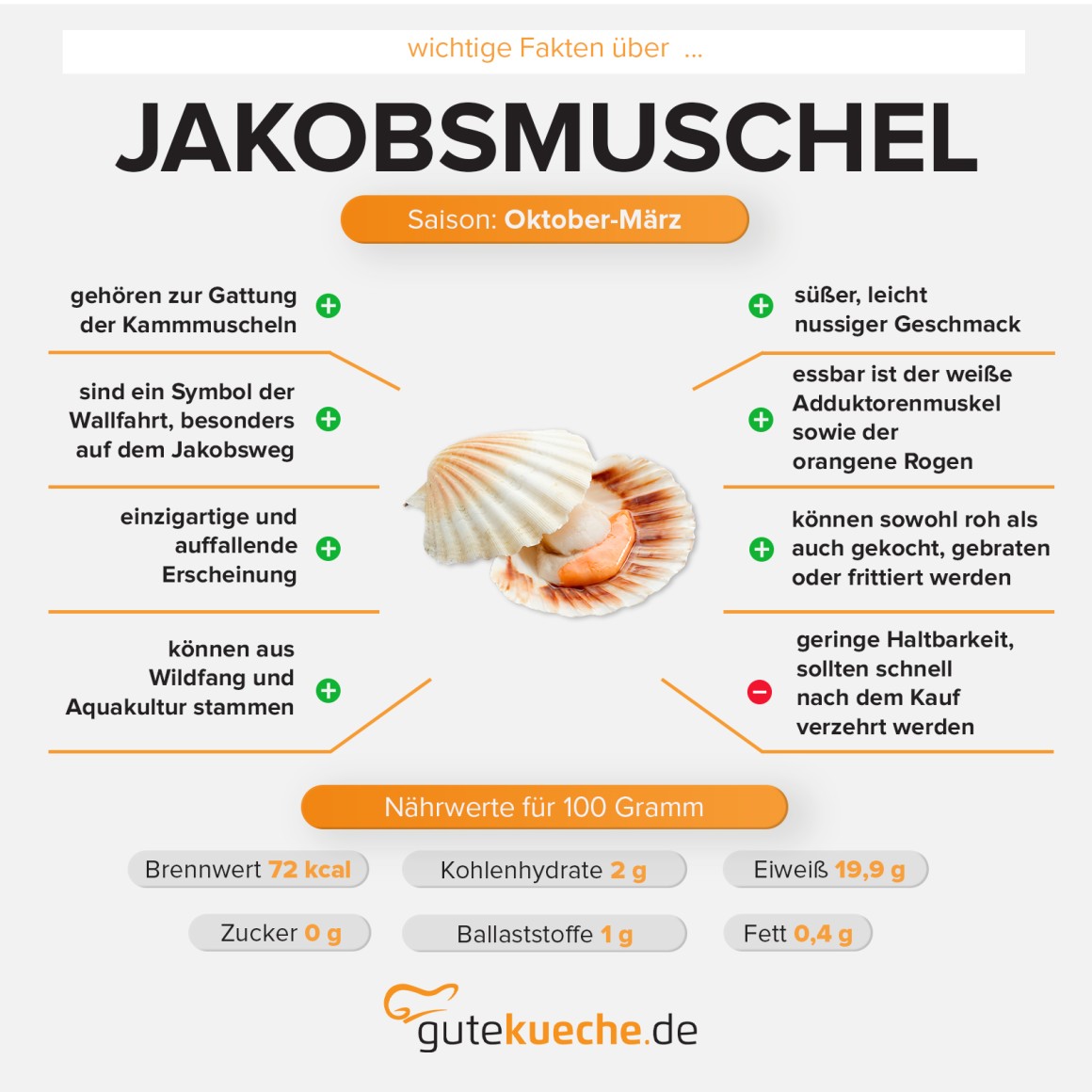 Jakobsmuscheln