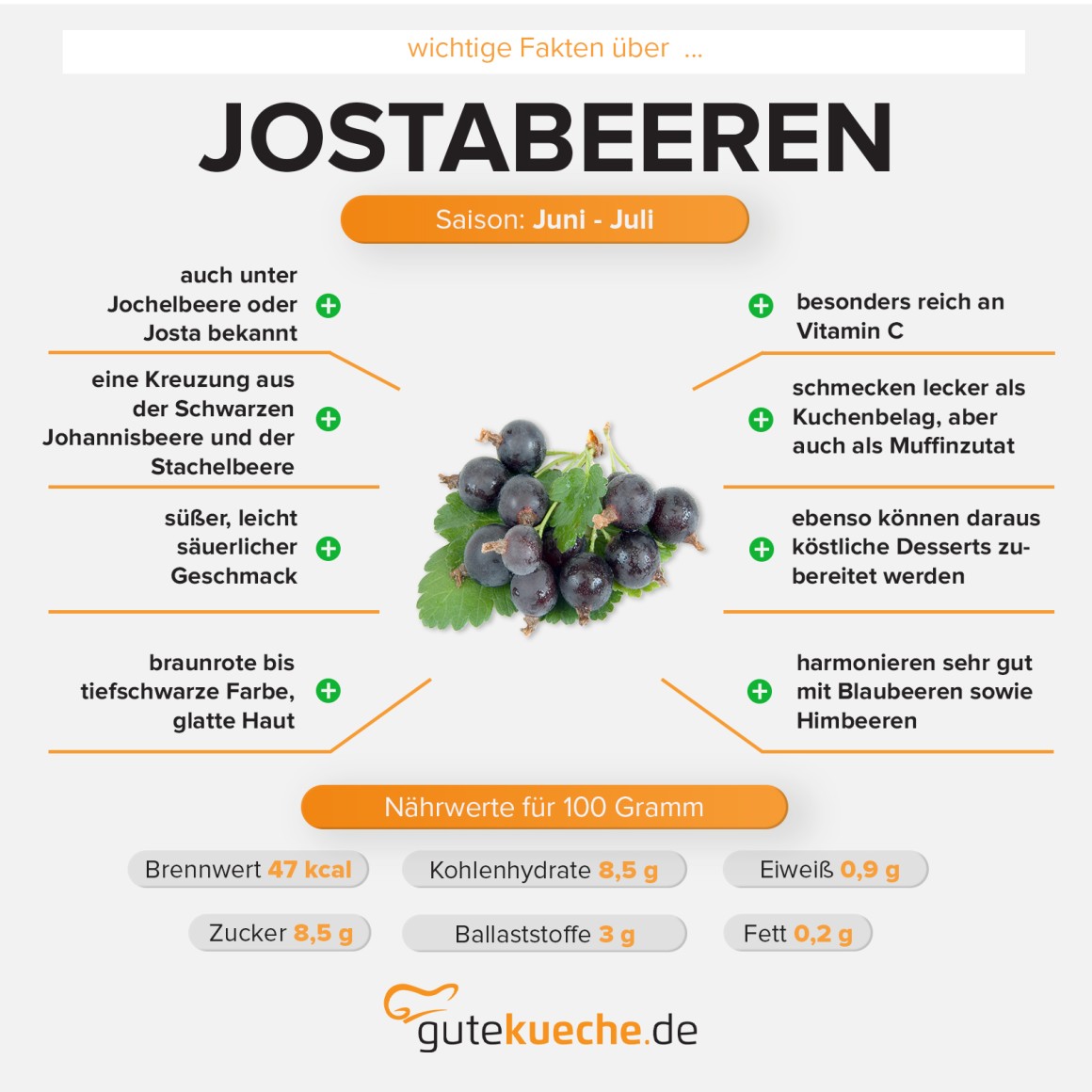 Jostabeere