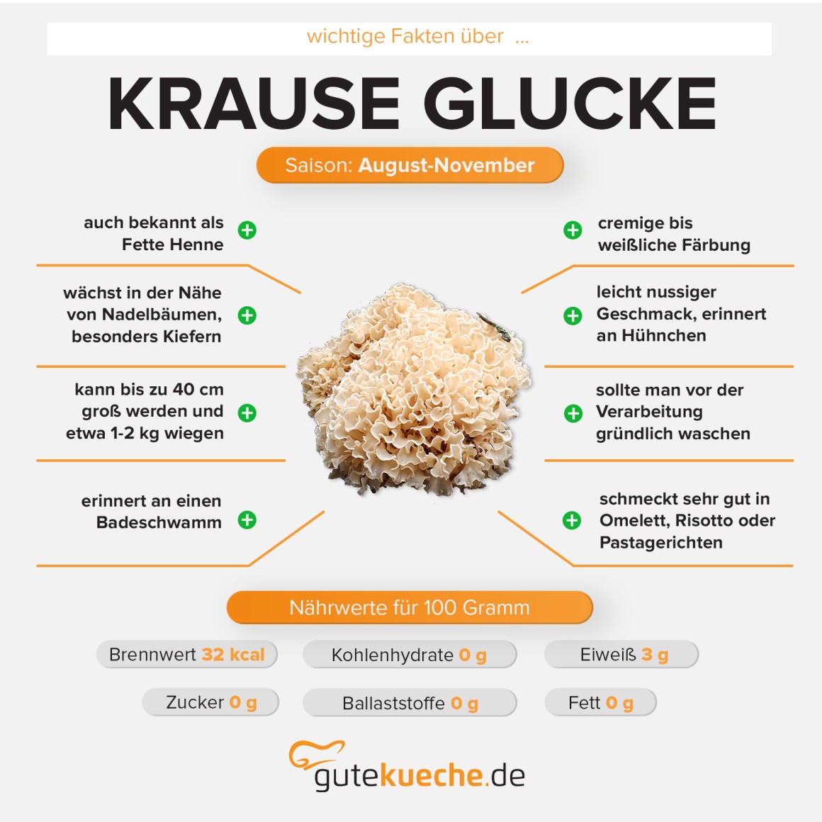 Krause Glucke