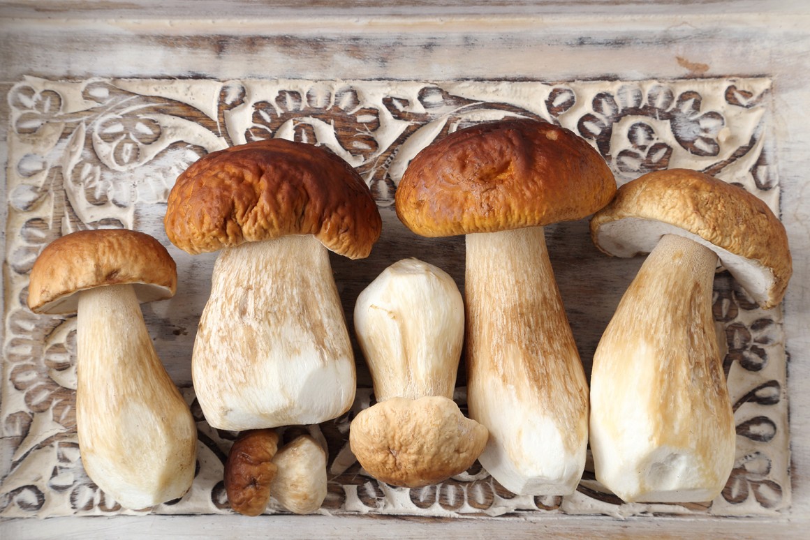 Steinpilz