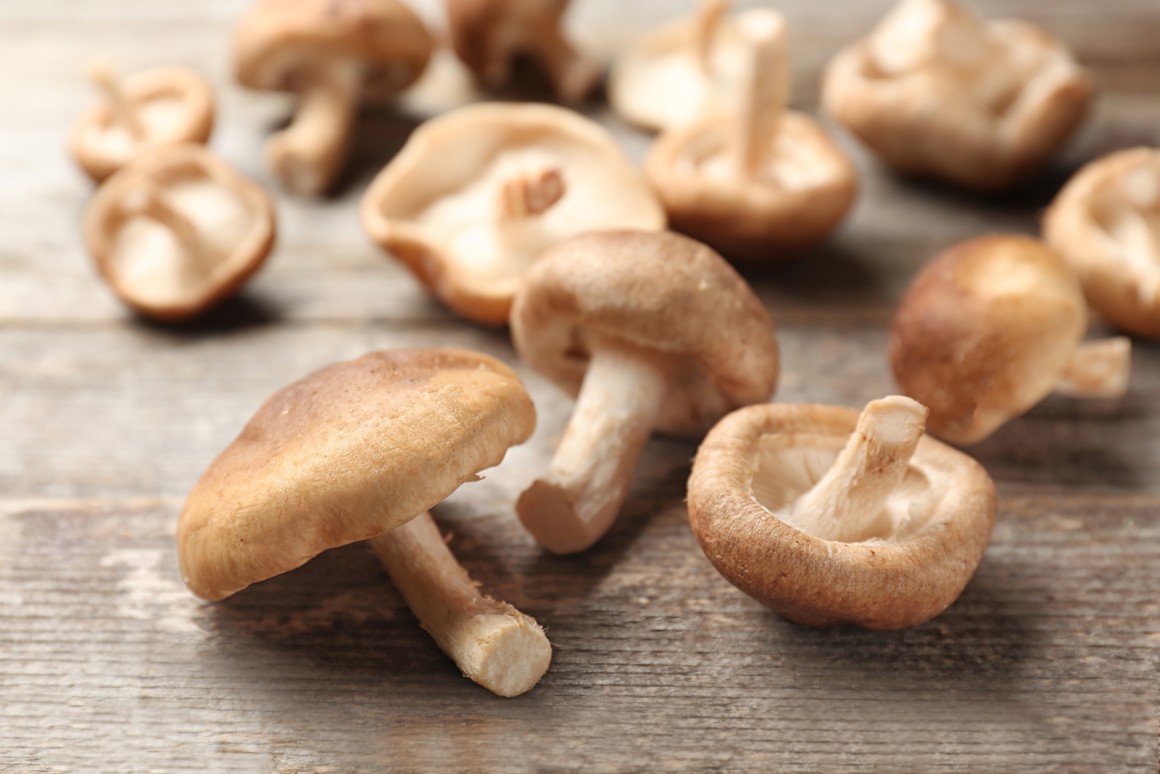 Shiitake-Pilze