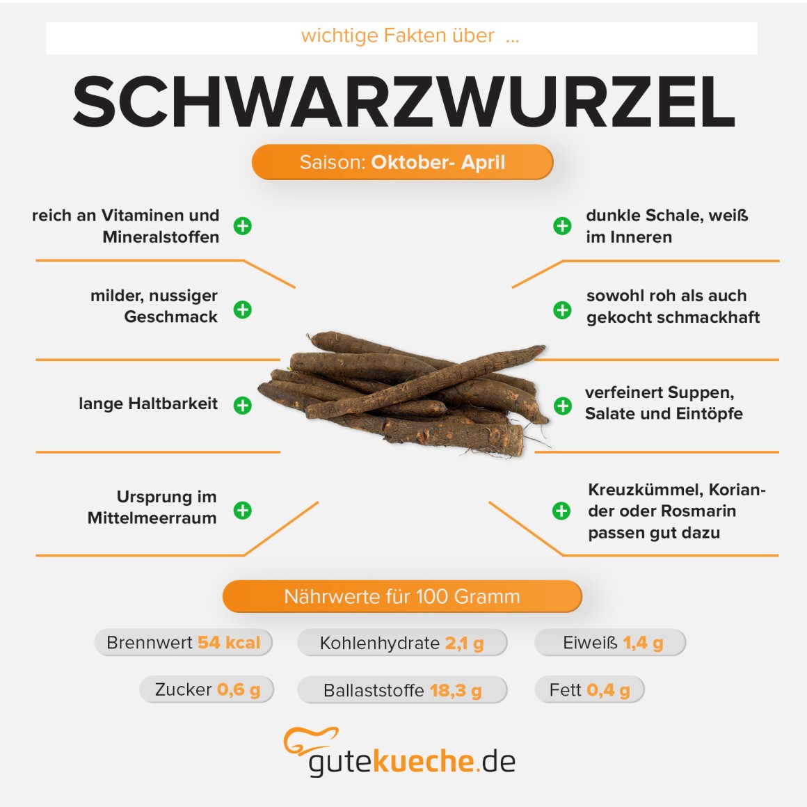 Schwarzwurzel