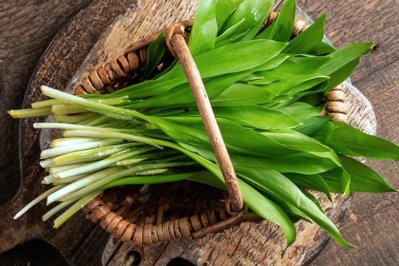 Top 10 der beliebtesten Bärlauch-Rezepte