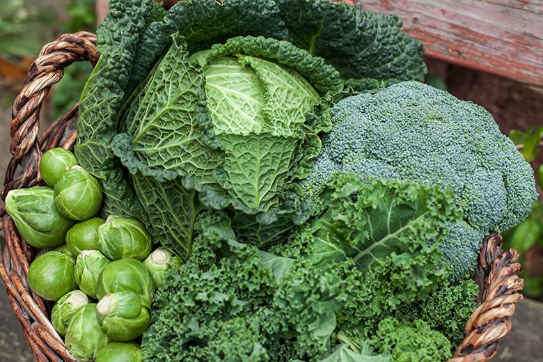 Wintergemüse: Gesund, Lecker und Lokal