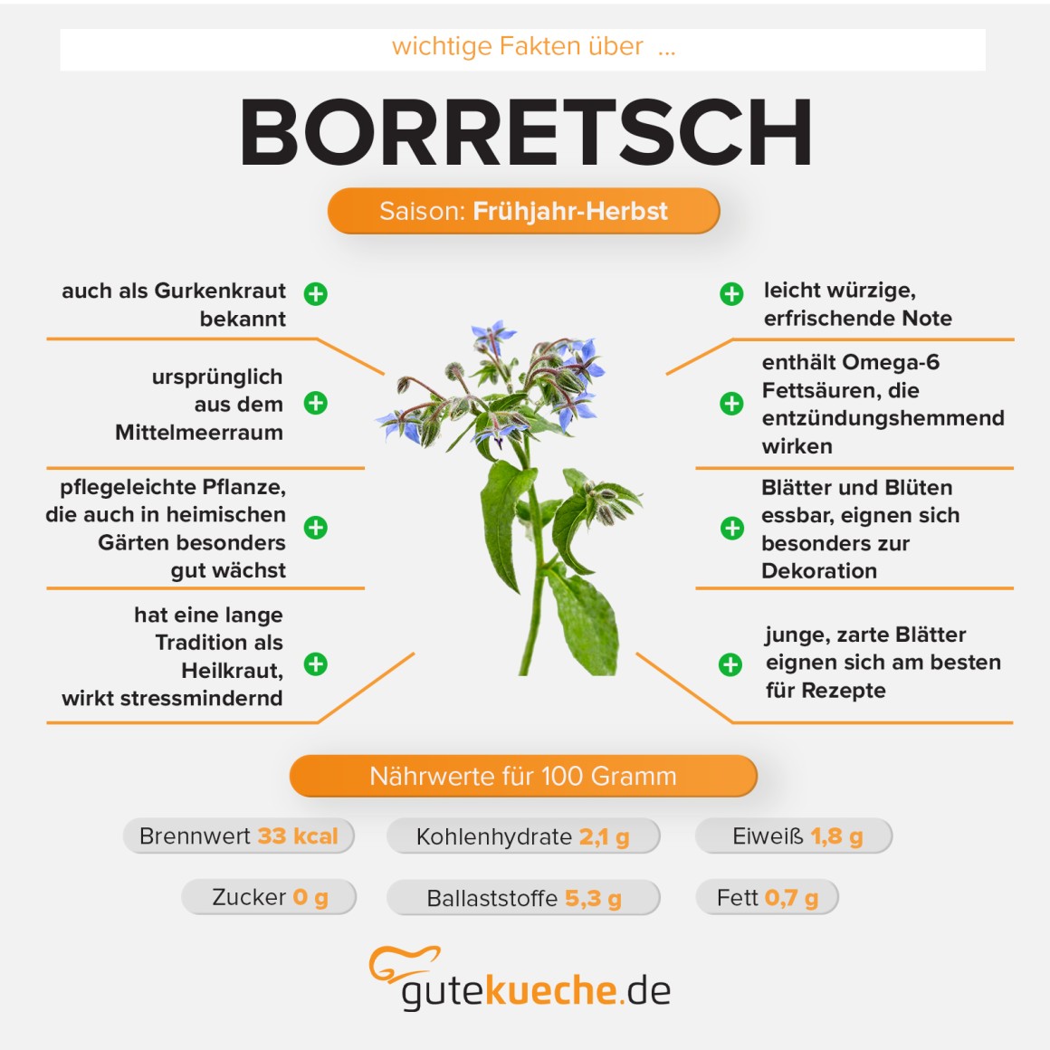 Borretsch