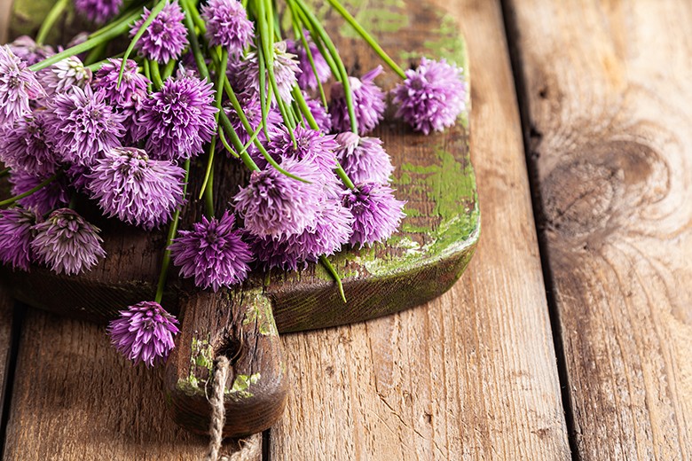 Schnittlauchblüten-Essig - Rezept