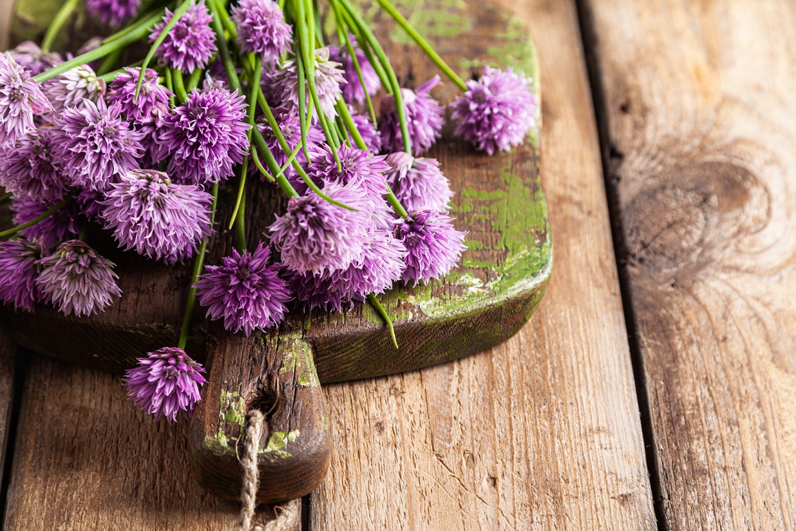 Schnittlauchblüten in der Küche