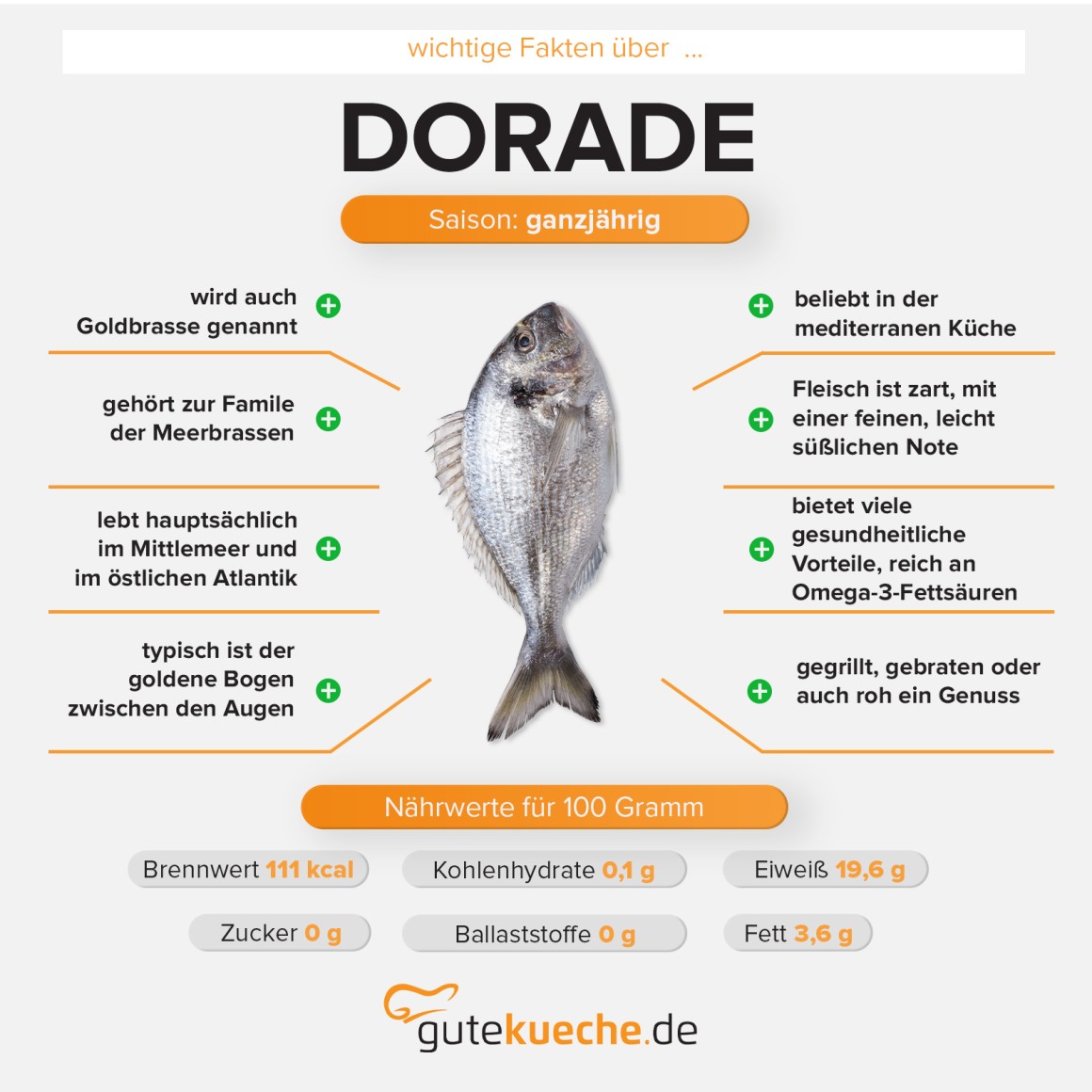 Dorade - Goldbrasse