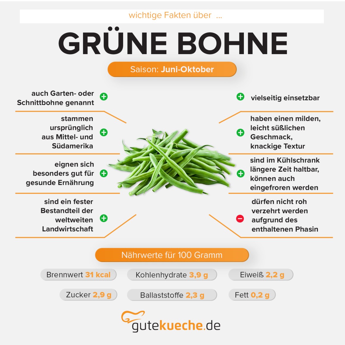 Grüne Bohne