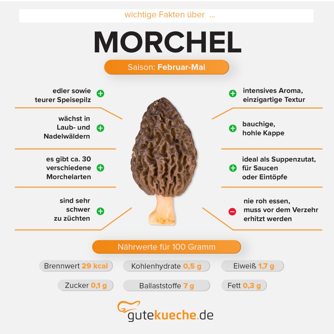 Morchel