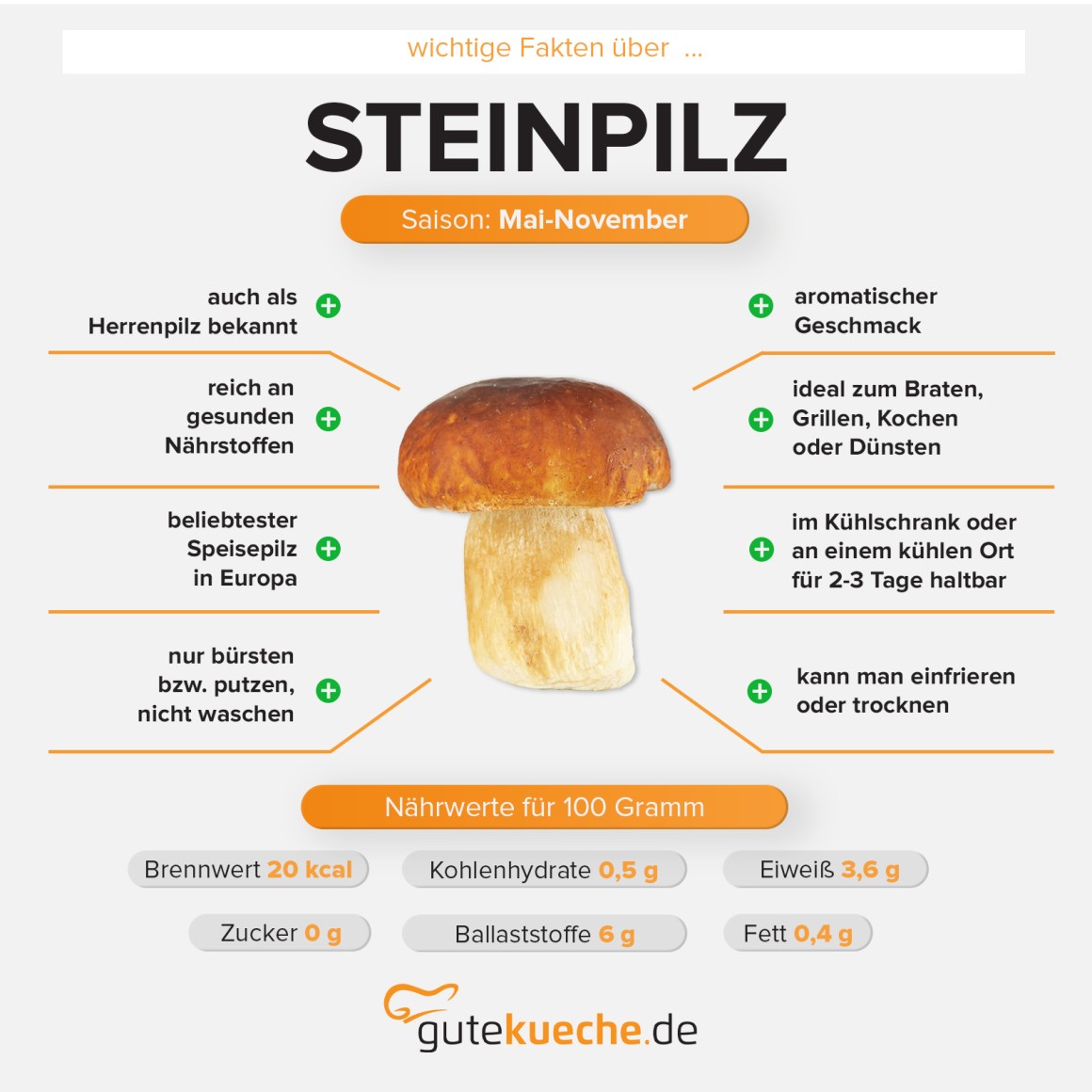 Steinpilz