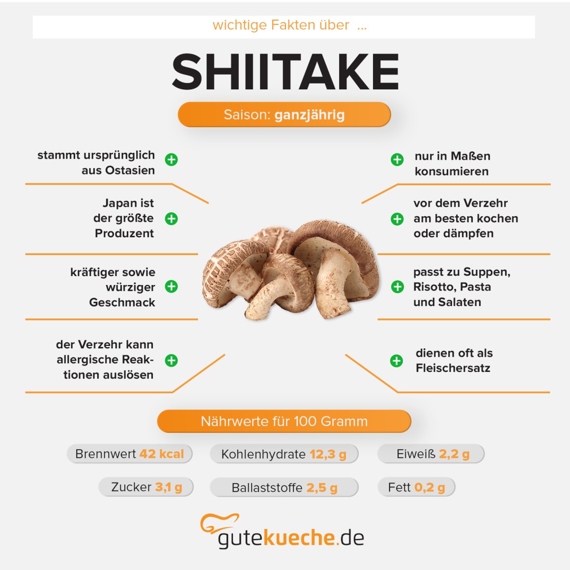 Shiitake-Pilze