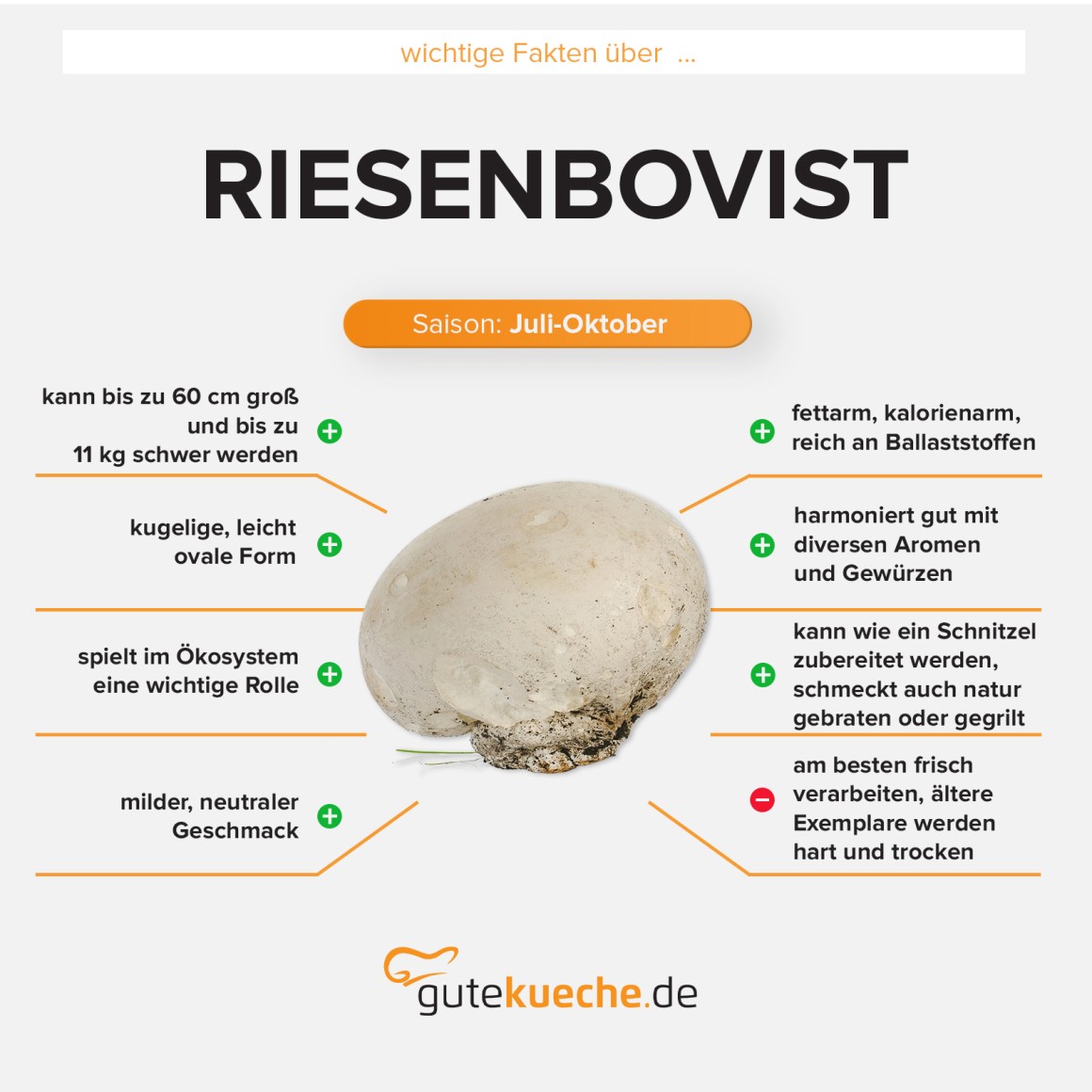 Riesenbovist