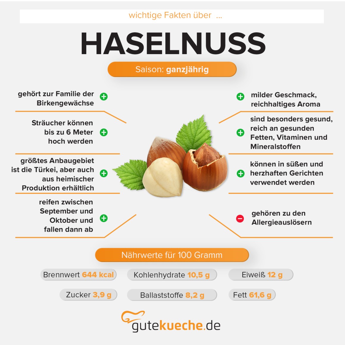 Haselnuss