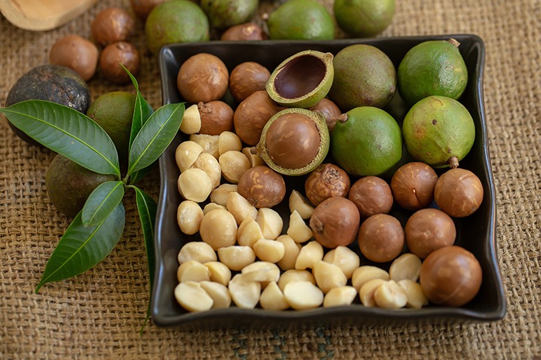 Macadamia Nuss