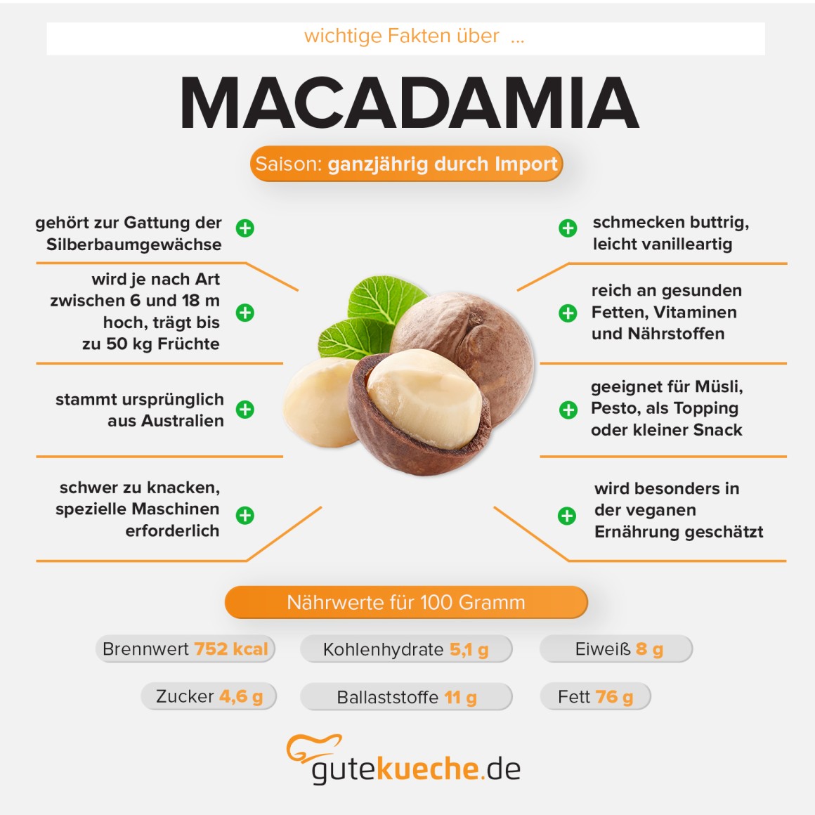Macadamia Nuss