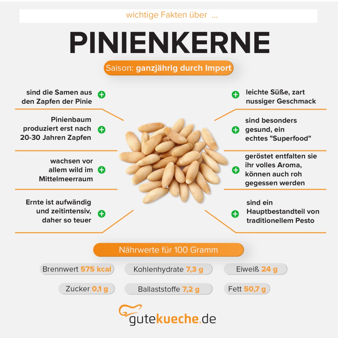 Pinienkerne