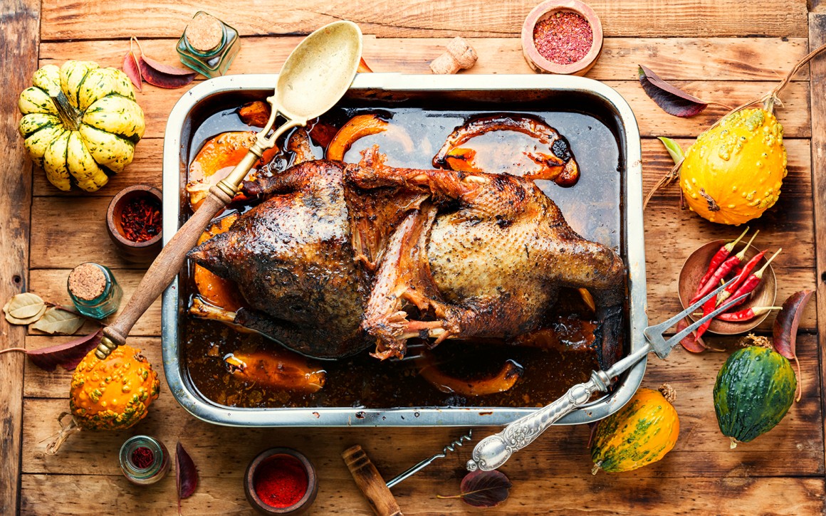 Gänsefleisch