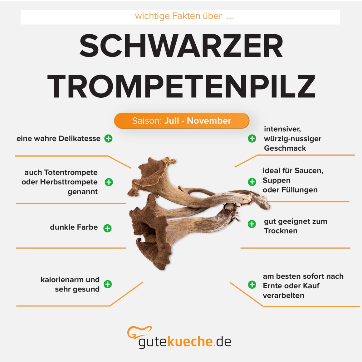 Schwarzer Trompetenpilz