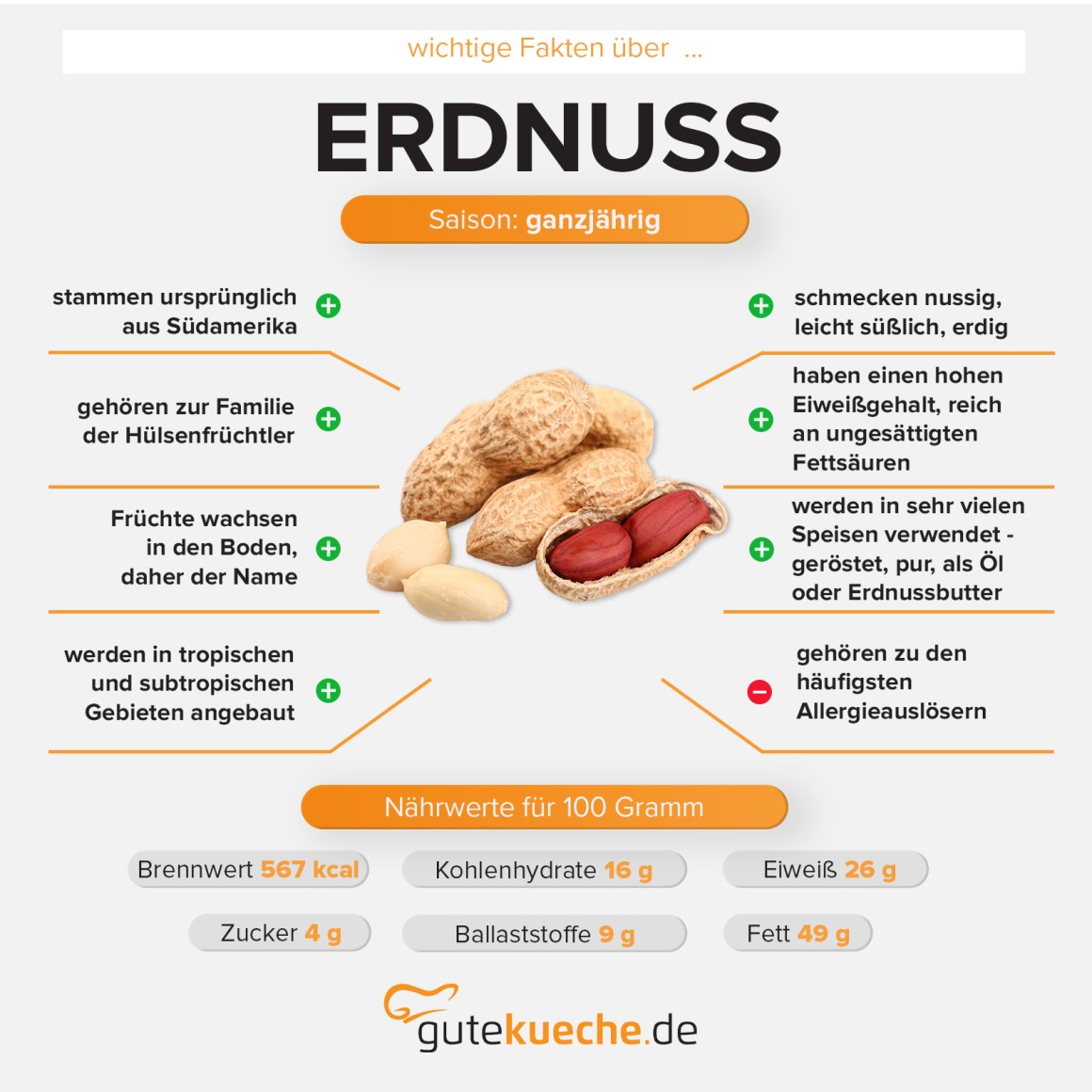 Erdnuss