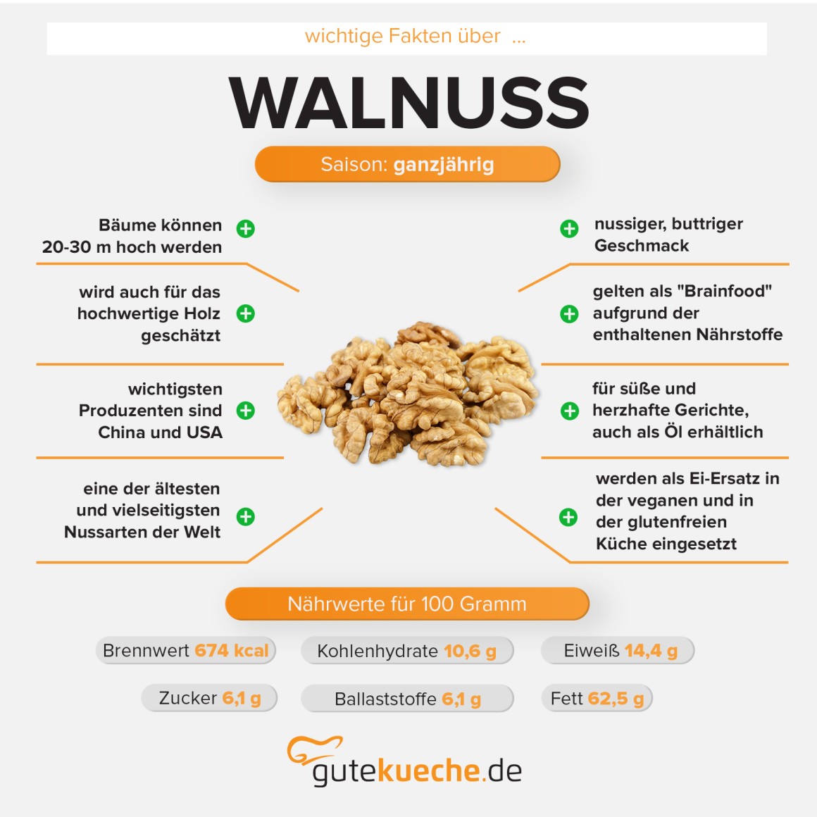 Walnuss