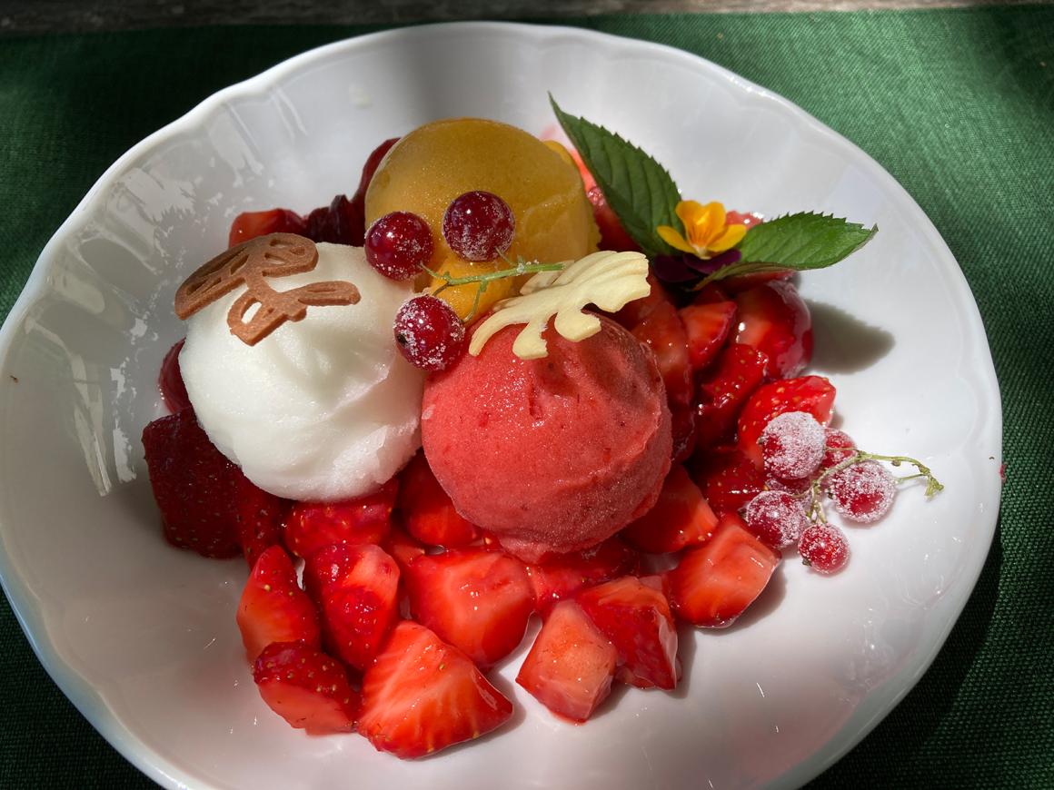 Sorbet - FAQ´s