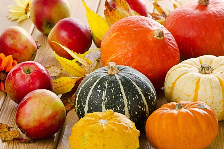 Herbst