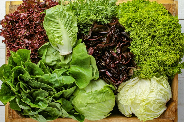 Warenkunde Salat