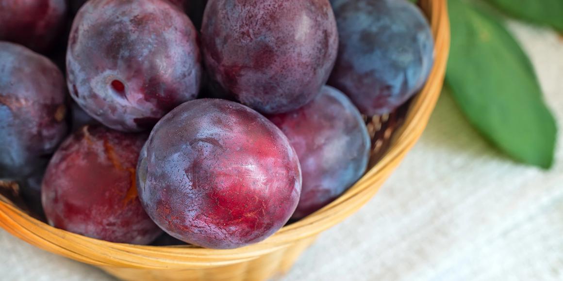 Pflaumen Rezepte