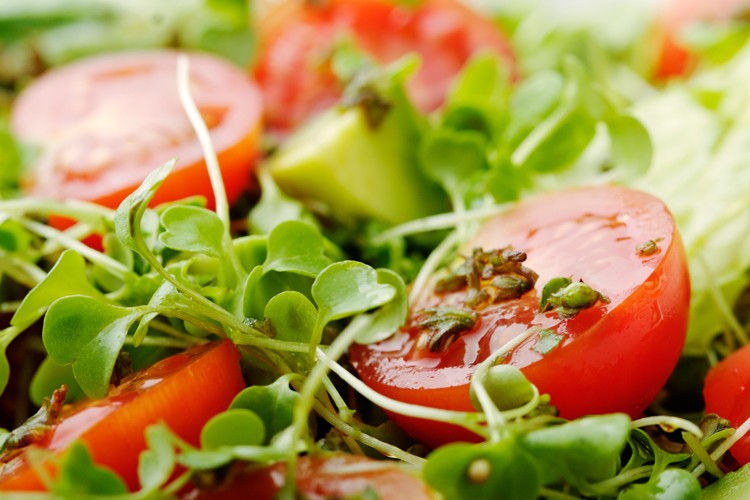 Sommer Rezepte