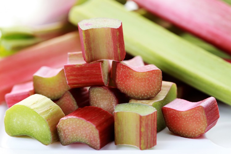 Rhabarber Rezepte