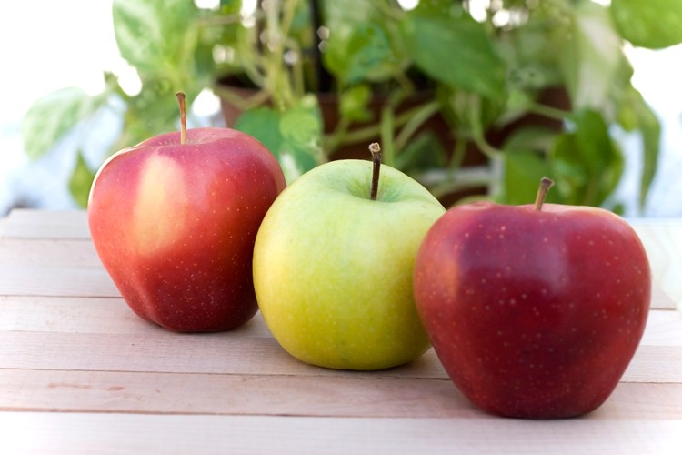 Apfel Rezepte
