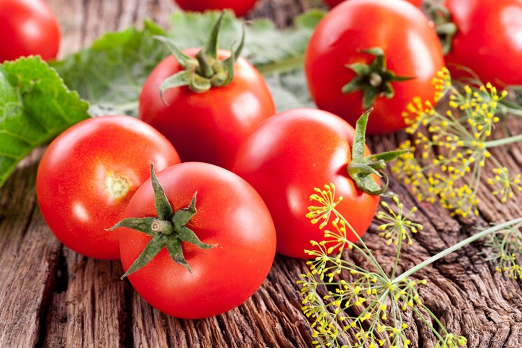 Tomaten Rezepte