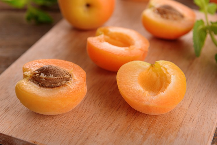 Aprikosen Rezepte