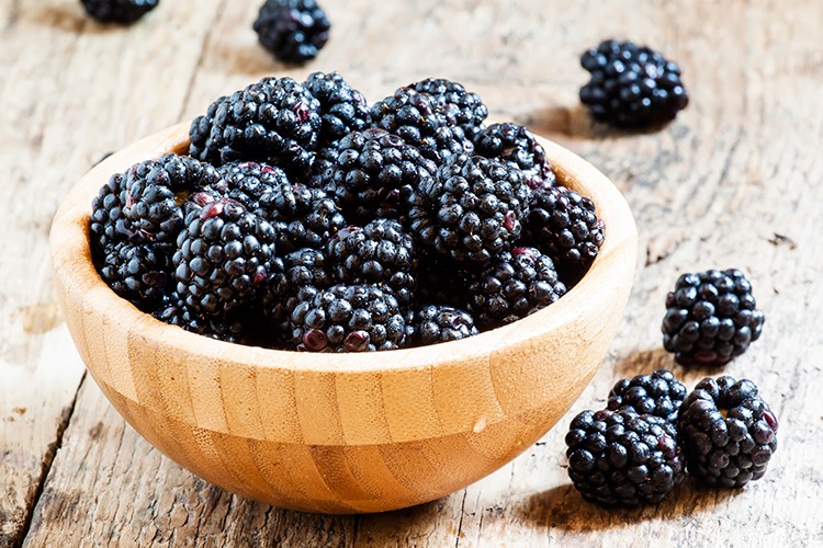Brombeeren Rezepte