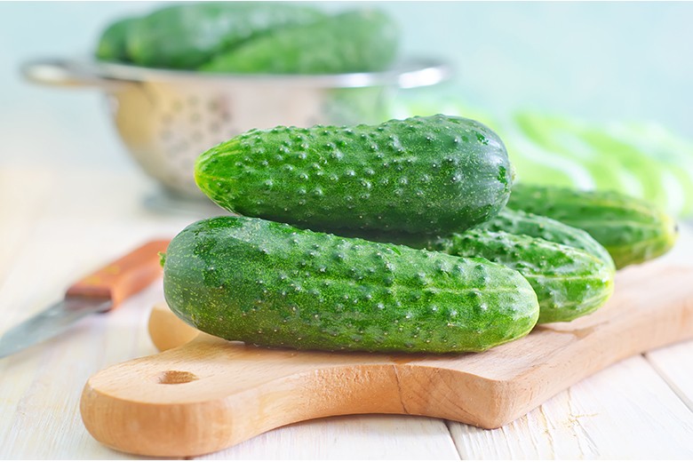 Gurken Rezepte