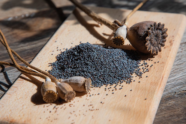 Mohn Rezepte