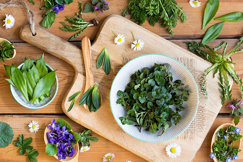 Wildkräuter Rezepte