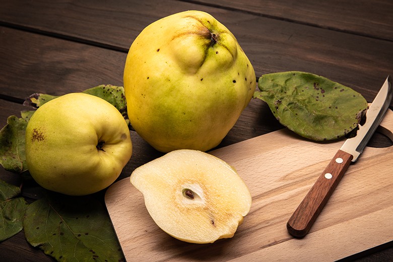 Quitten Rezepte