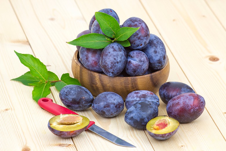 Zwetschgen Rezepte