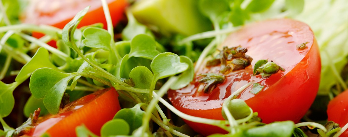Sommer Rezepte