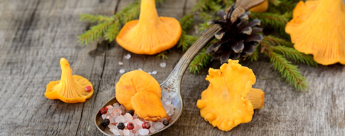 Pfifferlinge Rezepte
