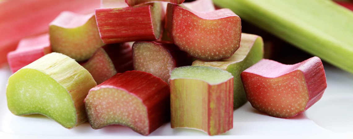 Rhabarber Rezepte