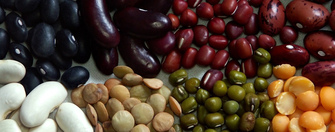Bohnen Rezepte