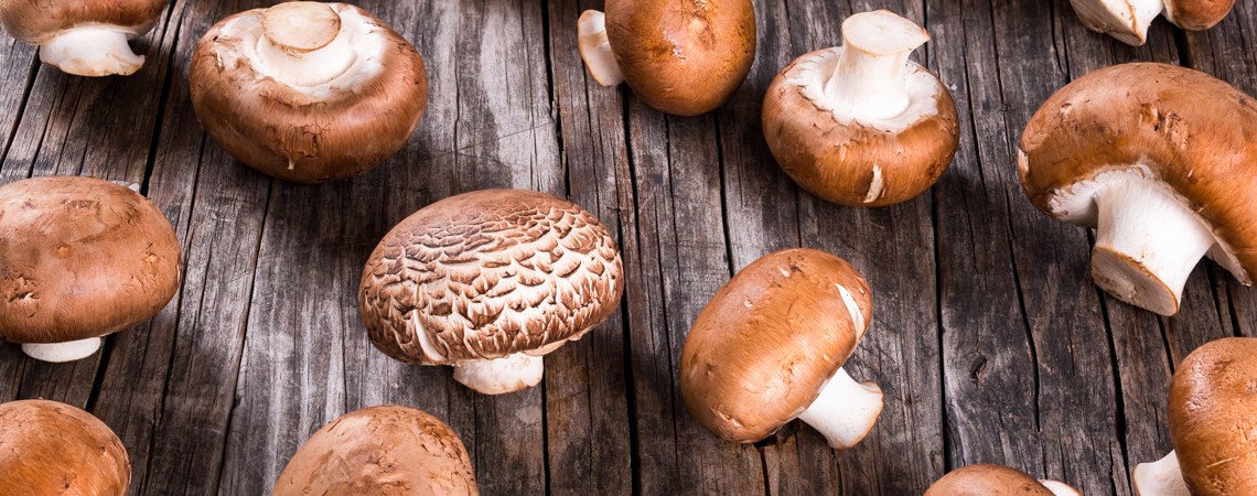 12 Rezepte zu Champignons - Lauch/Porree