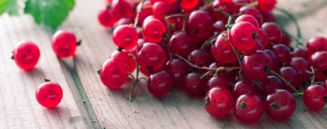 Johannisbeeren Rezepte