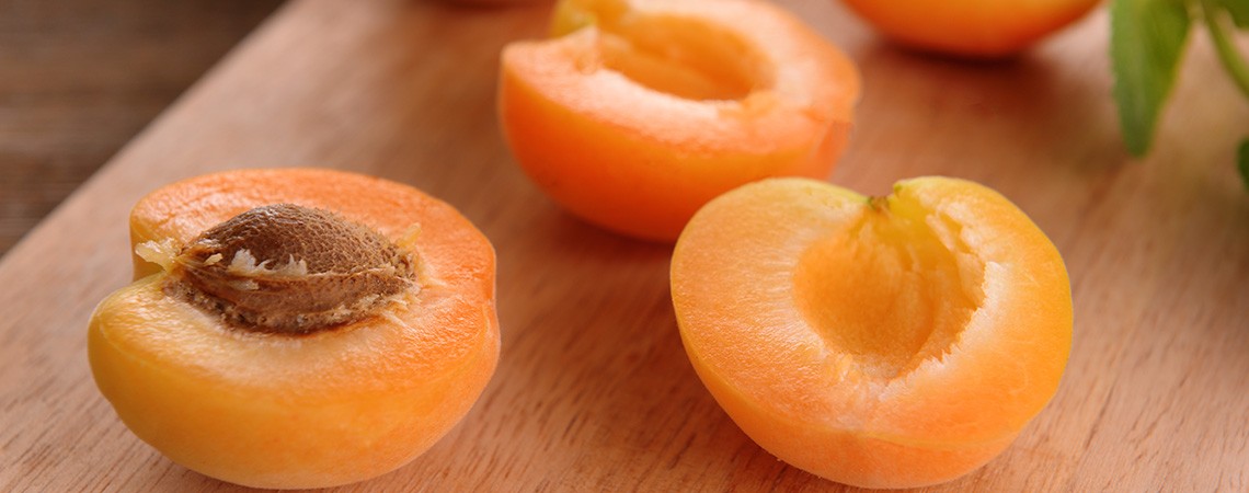 Aprikosen Rezepte